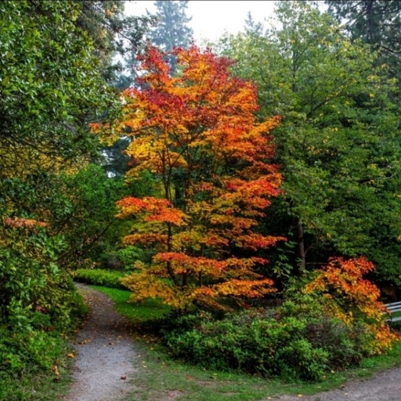 Meet your Posher, Kim - Picture 1 of 2